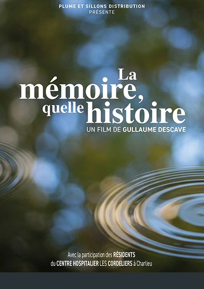 Mémoire, quelle histoire (la)