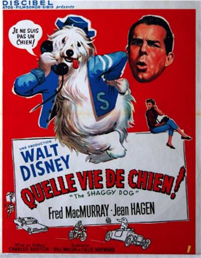 Quelle vie de chien !