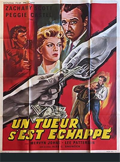 Un tueur s'est échappé