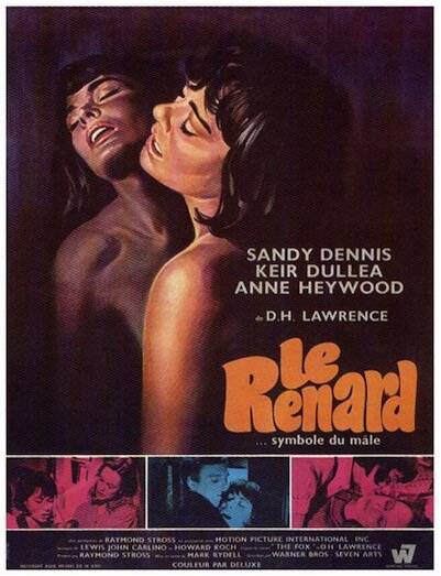 Renard (le)