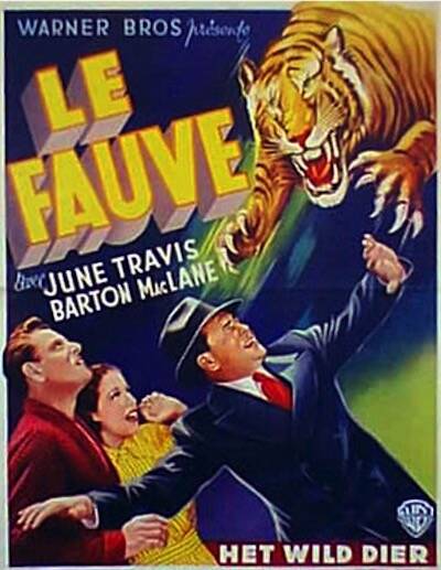 Fauve (le)
