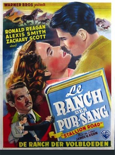 Ranch des pur-sang (le)
