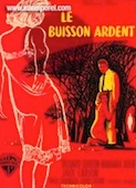 Buisson ardent (le)