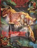 Jaguar, seigneur de l'Amazone (le)