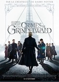 Animaux fantastiques, les Crimes de Grindelwald (les)