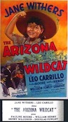 Arizona Wildcat