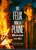 Des feux dans la plaine