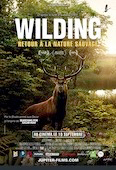 Wilding : Retour à la nature sauvage