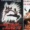 Bras violent du kung-fu (le)