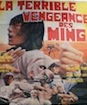 Terrible Vengeance des Ming (la)