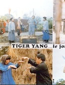 Tiger Yang, le fou du kung-fu