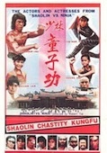 Ninja et les disciples du temple de Shaolin