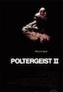 Poltergeist 2 : The Other Side