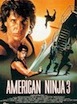 American Ninja 3