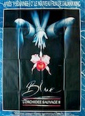 Blue, l'Orchidée sauvage II