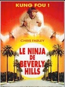 Ninja de Beverly Hills (le)