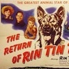 Retour de Rin Tin Tin (le)