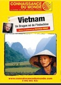 Vietnam, Un dragon né de l'Indochine
