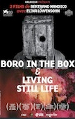 Boro in the Box - Living Still Life