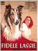 Fidèle Lassie (la)