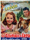 Courage de Lassie (le)