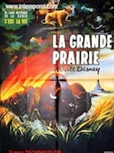 Grande Prairie (la)
