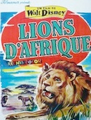 Lions d'Afrique